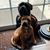 Cristina McDermott's profile image