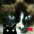 Diana Dupree Johanson's profile image