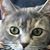 Donna L Crump's profile image