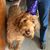Lynn Melander Moore's profile image
