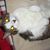 Dawn Marie's profile image