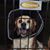 Mary Knipfing Rinke's profile image