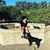 Martha T Vanbik's profile image