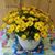 Maureen Schlimgen's profile image