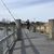 Thomas Anthony Schiralli's profile image