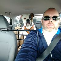 Paul Simms's profile image