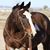 Tania Bennett's profile image
