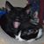 Fran Callahan's profile image