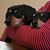 Gloria Ojo Beltran's profile image