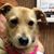 Carol Smarek's profile image