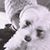 Kelly Bachl's profile image