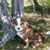 Sherry Heath's profile image