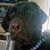 Dee Ramirez's profile image