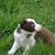 Beth Vokes's profile image