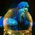 Dwana Bailey's profile image