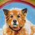 Mary Jo Stuart's profile image