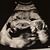 Andrea Galbraith Morrow's profile image