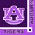 Alesa Bridges's profile image