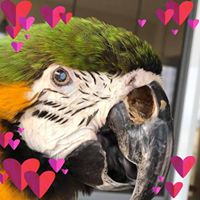 Shelley Johnson's profile image