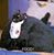 Felicia Savage's profile image
