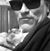 Rick Ward's profile image
