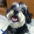 Patty Anger's profile image