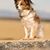 Mary Martin's profile image