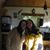 Elizabeth Watters's profile image