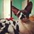 Joy Pottmeyer's profile image