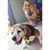 Katie Banks's profile image