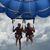 JoAnn Oelke Stevenson's profile image