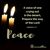 Marsha Denney's profile image