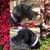 Bobbie Marie Palsa's profile image