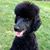 Bart Vatterott's profile image
