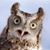 niteowl58's profile image