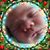 Taylor Coward's profile image