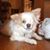 Kim Wright's profile image