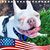 Stephanie Eaton's profile image