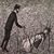 Ray Frau-Knee's profile image
