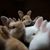 Julie Phillips Martindale's profile image