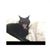Paloma Yglesias's profile image