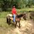 Tracey Chandler-schwarck's profile image
