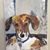 Karen Mitchell Kilyk's profile image