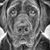 Michael Endicott's profile image