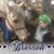 Amy P Beam's profile image