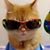 Fernando Casablancas's profile image