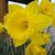 Beth Benefield Jones's profile image