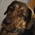 Shannon Fink's profile image