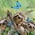 Darlene Thompson's profile image