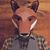 Matthew Dickey's profile image